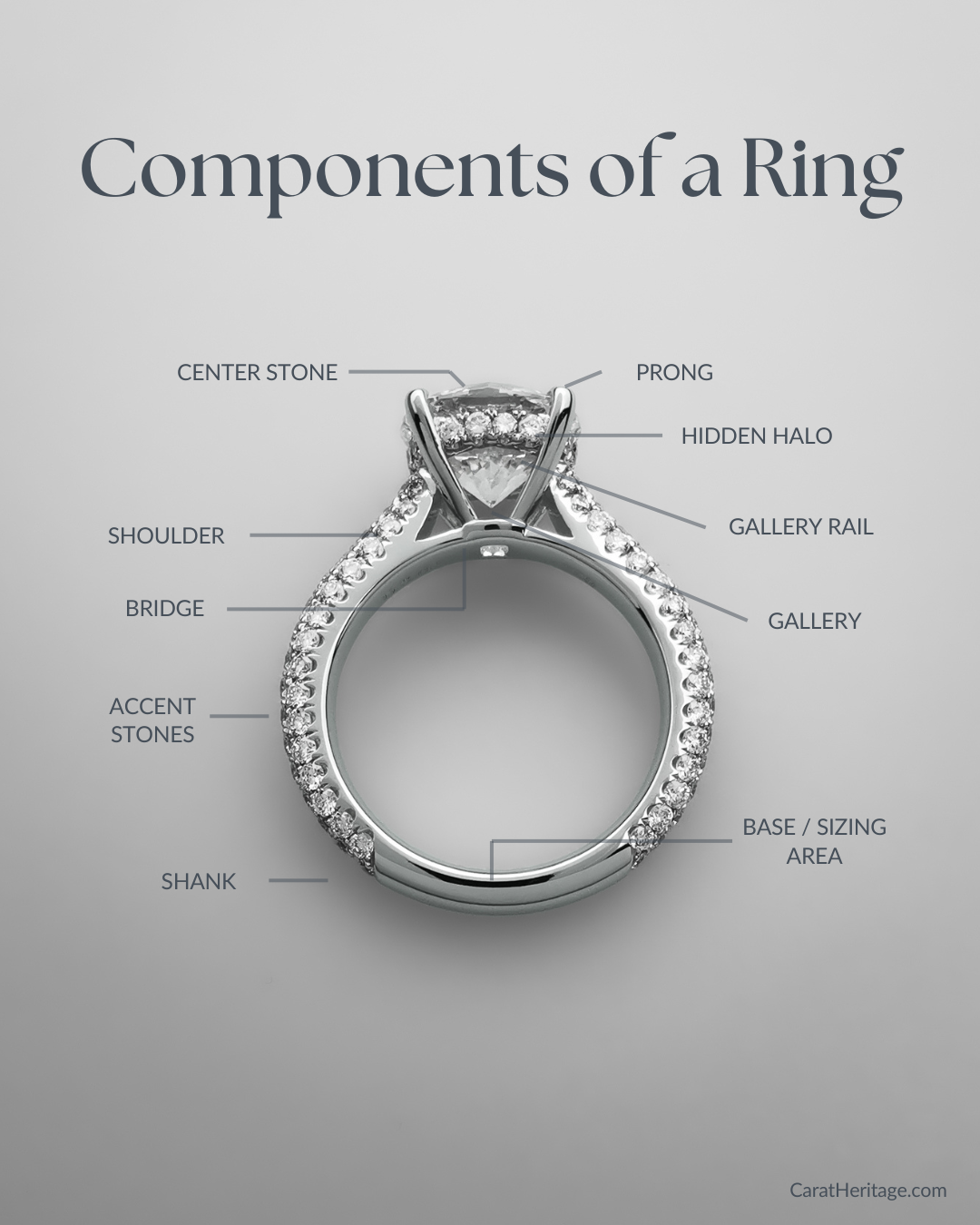 anatomy of a ring