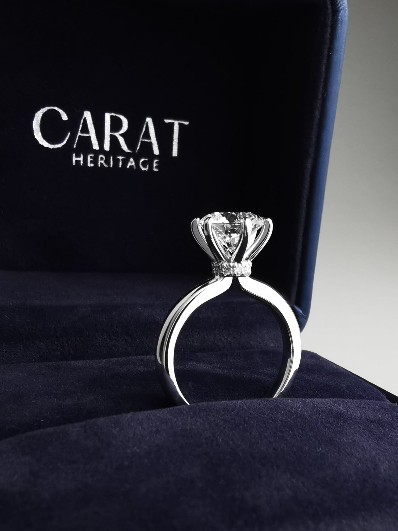 Diamond Ring with wrap around halo